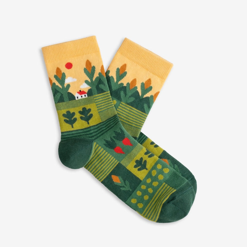 Cornfield Socks | Colorful socks